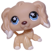 #0748 Cocker Spaniel